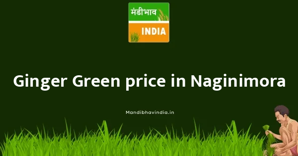 Ginger Green price